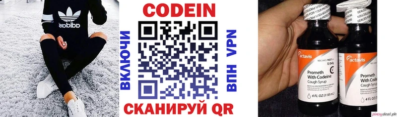 даркнет Telegram  Назрань  Кодеин Purple Drank  гидра  