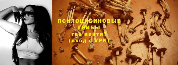 тгк Абдулино
