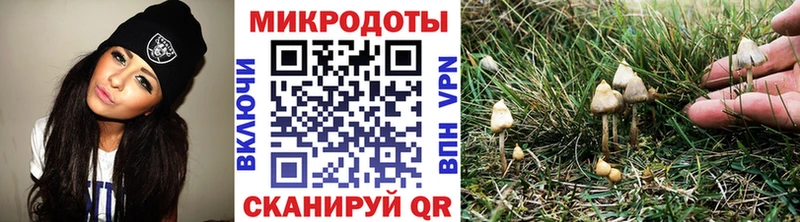 хочу наркоту блэк спрут маркетплейс Псилоцибиновые грибы Cubensis Назрань